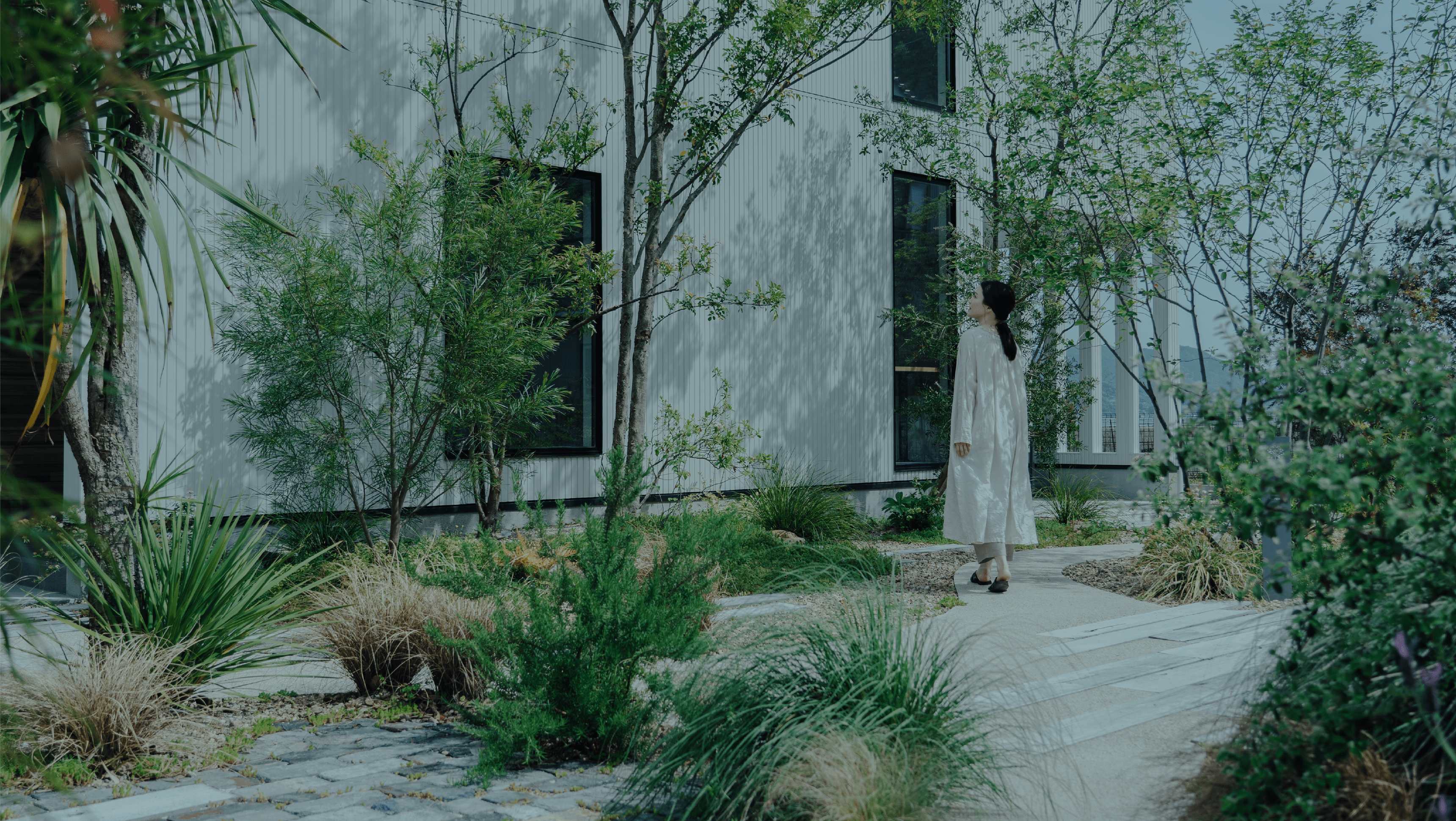 メインビジュアル01