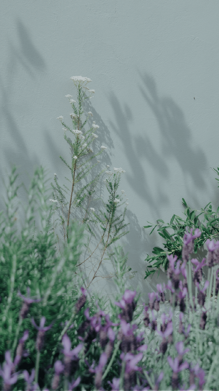 メインビジュアル06